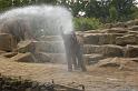 dierentuin emmen_0929